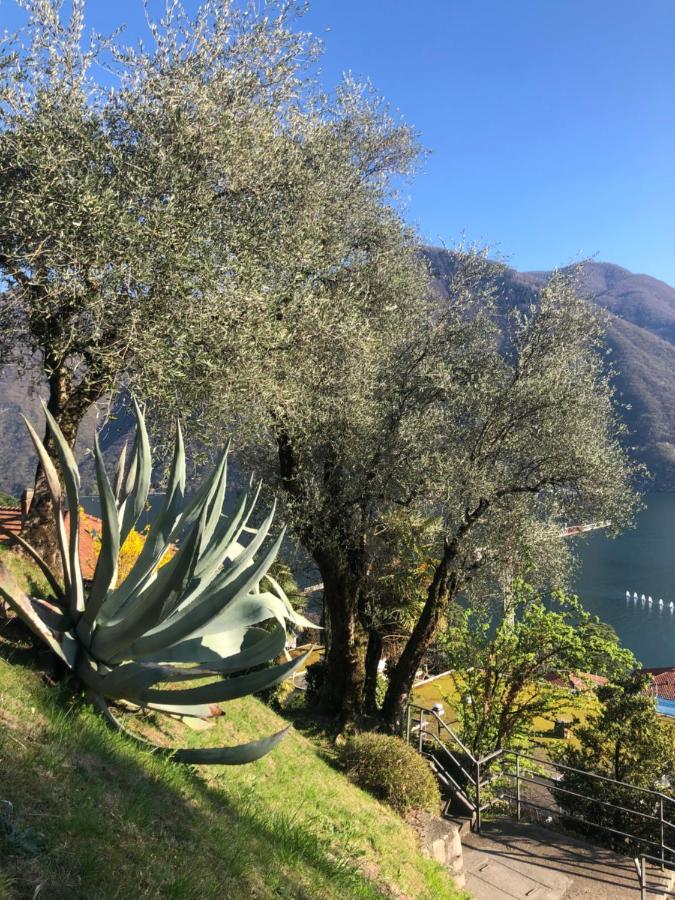 Lake Feelings Lugano Exteriér fotografie